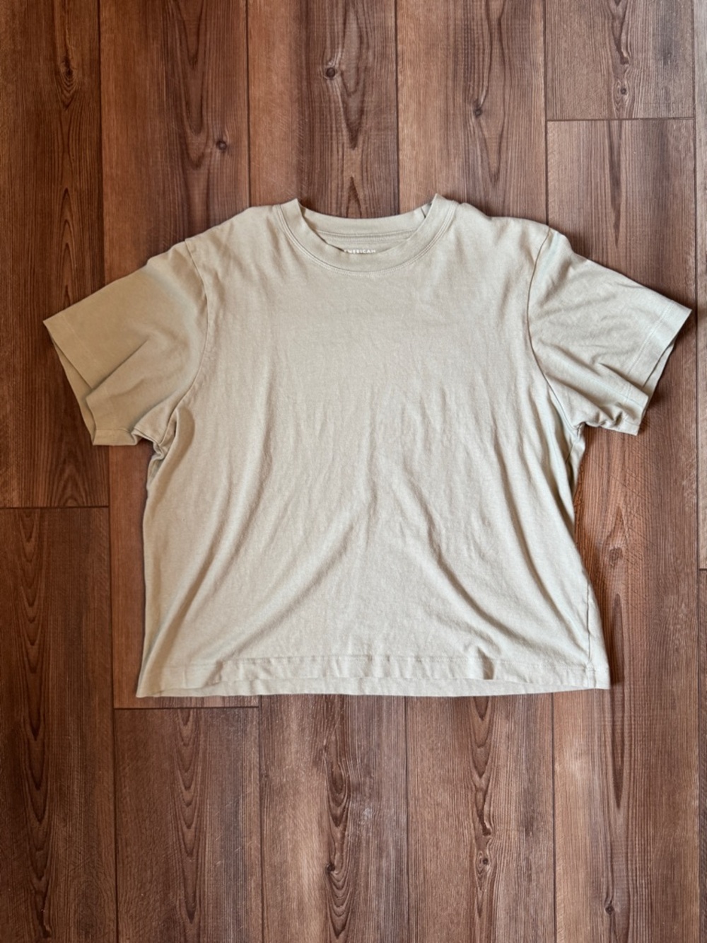 American Eagle Plain Neutral Crewneck Tee - pale green